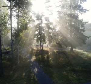 Morgondimman lättar. 