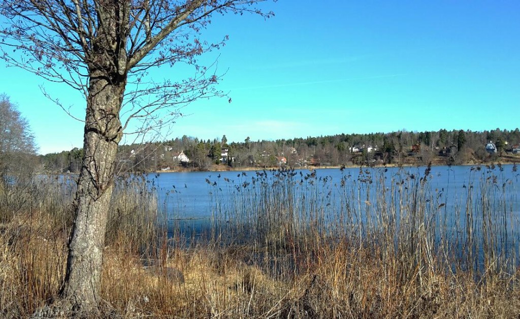 Flaten i mitten av mars. Det ligger en tunn isskorpa där man fortfarande kan se var skridskobanorna plogats fram. 