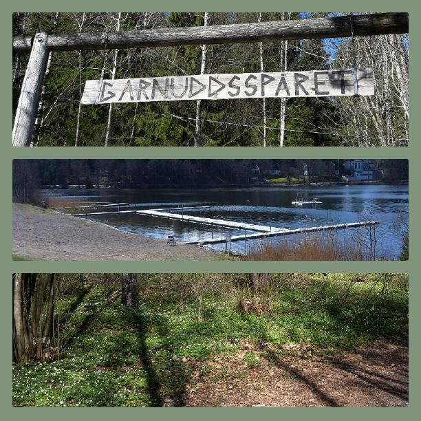 Bilden i mitten är på Möllebadet som är övergivet så här års. Den nedersta bilden föreställer vitsippor. 